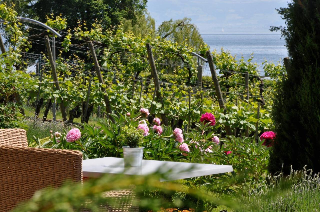 Appartementhotel Röhrenbach Immenstaad am Bodensee Exterior foto