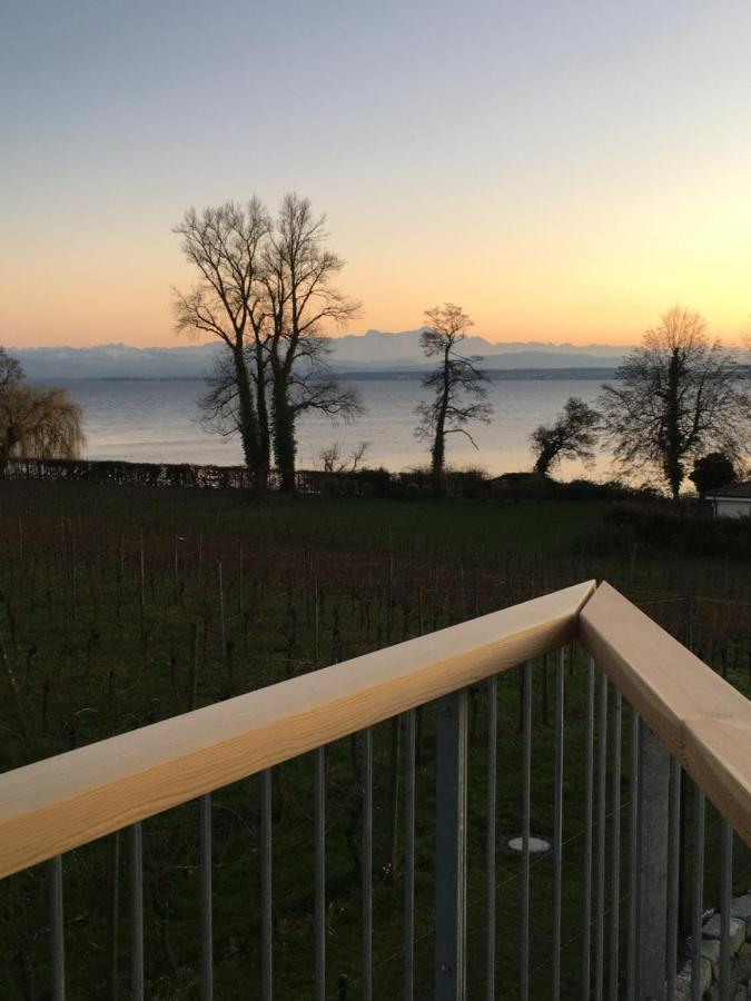 Appartementhotel Röhrenbach Immenstaad am Bodensee Exterior foto
