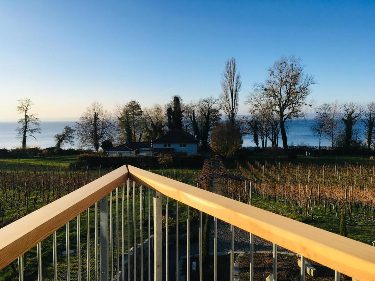 Appartementhotel Röhrenbach Immenstaad am Bodensee Exterior foto